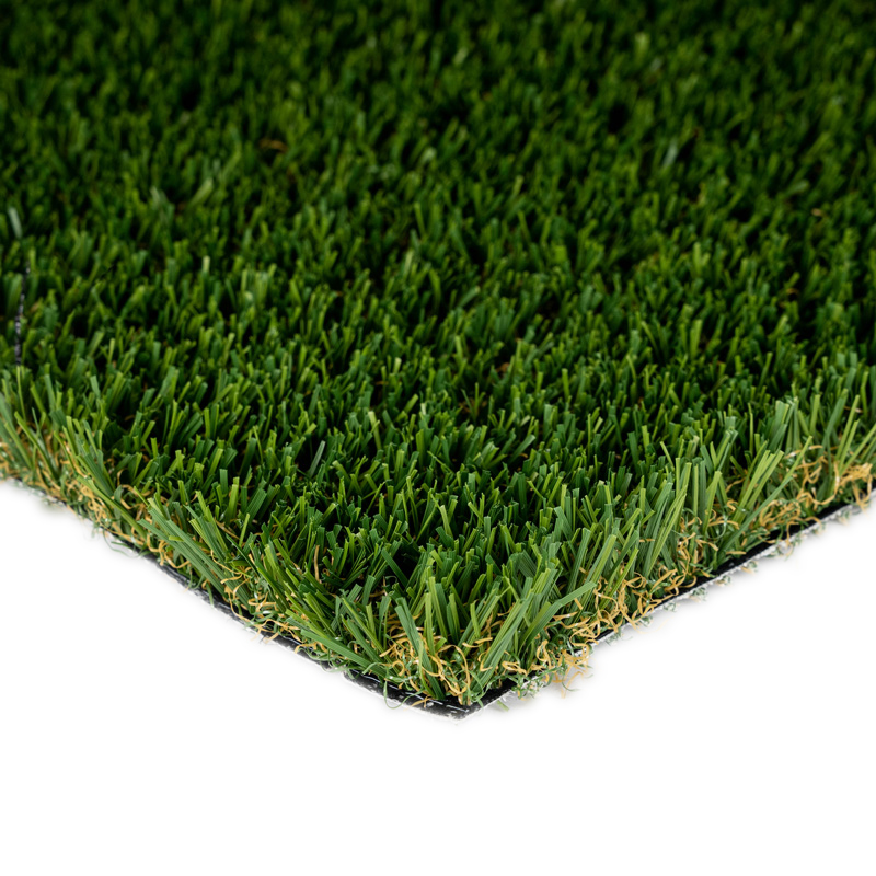 AZPetscapeFescue-Intro