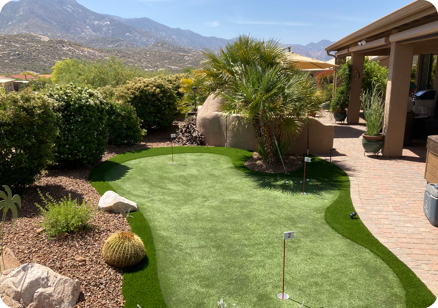 Putting Green Turf